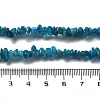 Natural Apatite Chip Beaded Necklaces for Men Women NJEW-G159-01I-5