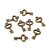 Gifts Ideas for Her Tibetan Style Alloy Charms LS-MLF11975Y-NF-3