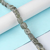 Natural Labradorite Beads Strands G-F743-02B-2