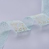 Nylon Organza Ribbon SRIB-I004-03G-3