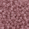 FGB Frosted Transparent Glass Seed Beads SEED-N013-03A-06-3