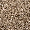 MIYUKI Delica Beads SEED-X0054-DB1731-3