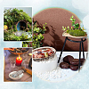 Natural Paua Shell Display Decorations DJEW-WH0042-148A-6