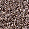 MIYUKI Delica Beads SEED-X0054-DB1749-3