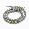 Natural Labradorite Beads Strands G-P322-28-8mm-2