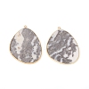 Natural Zebra Jasper Pendants G-E526-02K-2