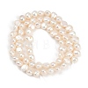 Natural Cultured Freshwater Pearl Beads Strands PEAR-P064-19E-12A-3