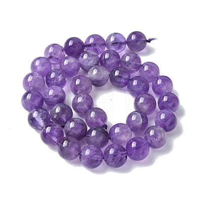 Natural Amethyst Beads Strands G-R446-10mm-21-A-1