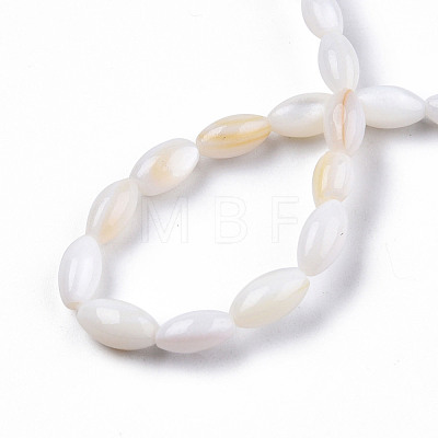 Natural Freshwater Shell Beads Strands SHEL-N026-212-1