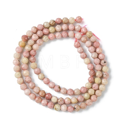 Natural Rhodonite Beads Strands G-F748-U01-03-1