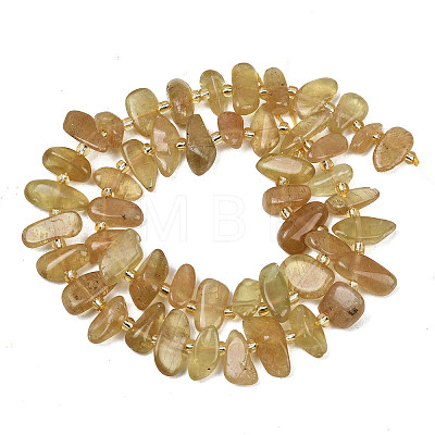 Natural Yellow Apatite Beads Strands G-L657-E06-01-1