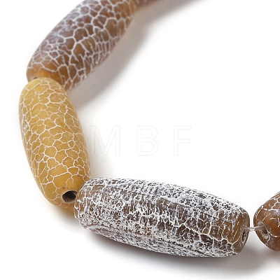 Natural Weathered Agate Beads Strands G-Q169-D04-01A-1