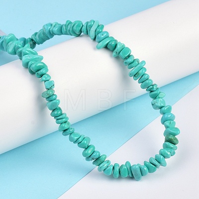 Natural Magnesite Beads Strands TURQ-P001-02A-07-1