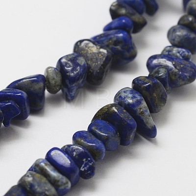 Natural Lapis Lazuli Beads Strands G-F328-21-1