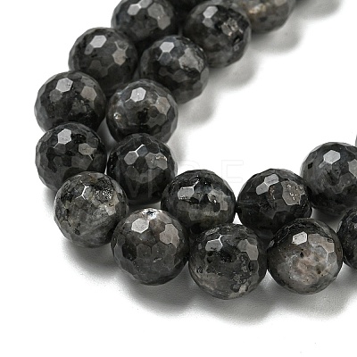 Natural Larvikite Beads Strands G-E571-A09-03-1