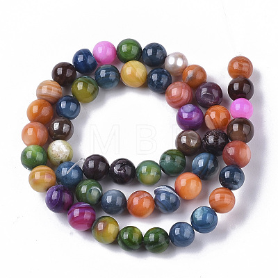 Freshwater Shell Beads Strands X-SHEL-T013-003-1