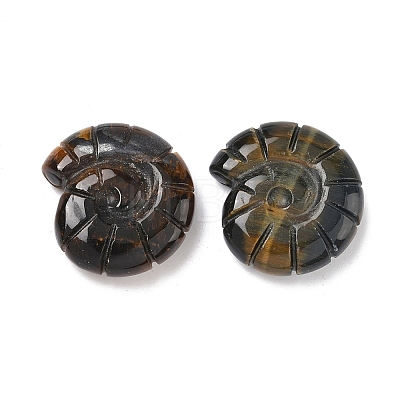 Natural Tiger Eye Conch Display Decorations DJEW-D303-01A-1