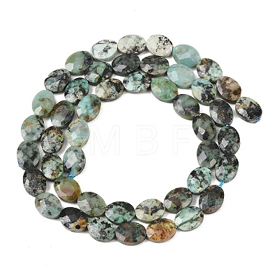Natural African Turquoise(Jasper) Beads Strands G-H349-A01-16-1