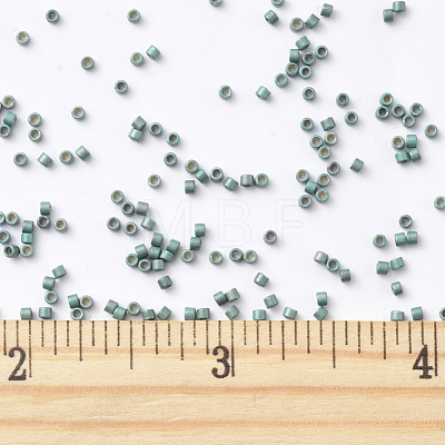 MIYUKI Delica Beads SEED-X0054-DB1847F-1