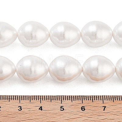 Electroplated Shell Pearl Beads Strands BSHE-H110-01-03-1