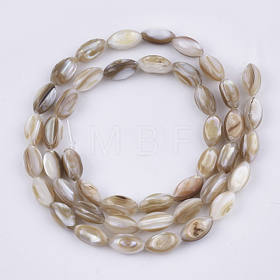 Freshwater Shell Beads Strands SHEL-S276-34B-1