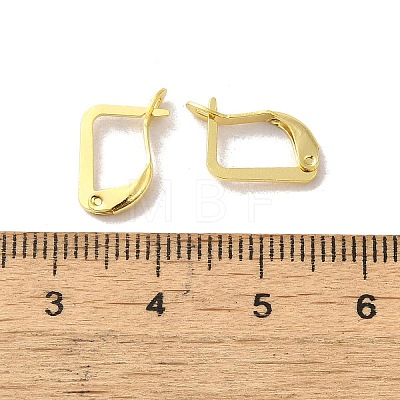 Brass Hoop Earring Findings FIND-Z039-29G-1
