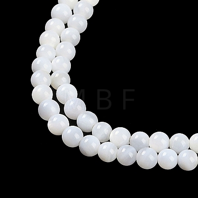 Natural Freshwater Shell Beads Strands BSHE-H109-03A-1