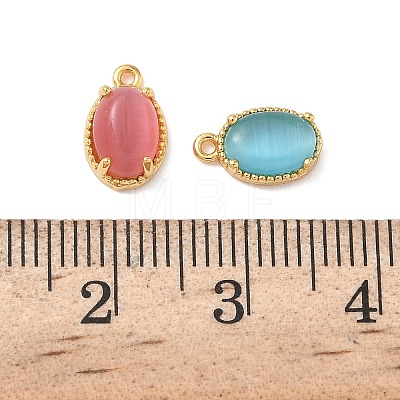 Oval Brass Charms KK-D024-27G-1