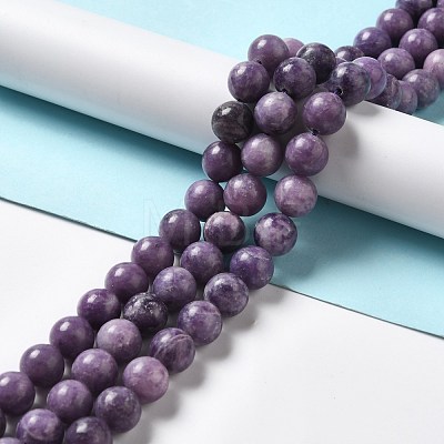 Natural Lepidolite/Purple Mica Stone Beads Strands G-B029-B03-04-1
