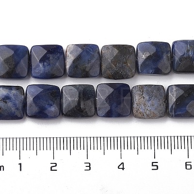 Natural Sodalite Beads Strands G-K359-B07-01-1