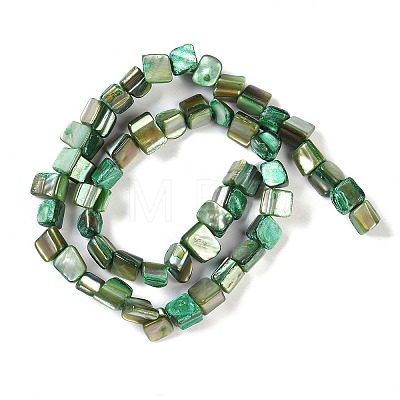 Dyed Natural Freshwater Shell Beads Strands SHEL-P016-01I-1