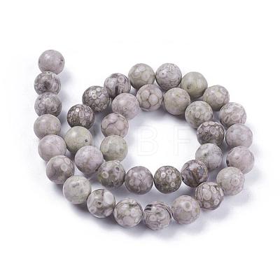 Natural Maifanite/Maifan Stone Beads Strands G-F353-10mm-1