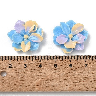 Opaque Resin Cabochons RE-F001-02-1