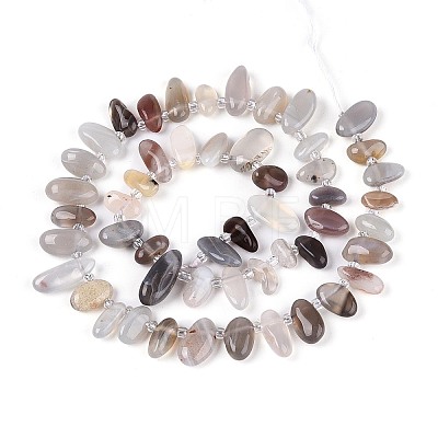 Natural Botswana Agate Beads Strands G-Z091-A30-1