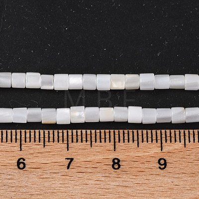 Natural Freshwater Shell Beads Strands BSHE-S304-08-1