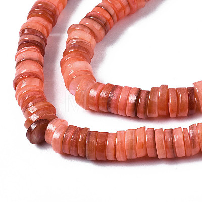 Natural Freshwater Shell Beads Strands X-SHEL-S278-025H-1