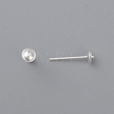 304 Stainless Steel Stud Earring Findings STAS-H436-25S-6mm-1