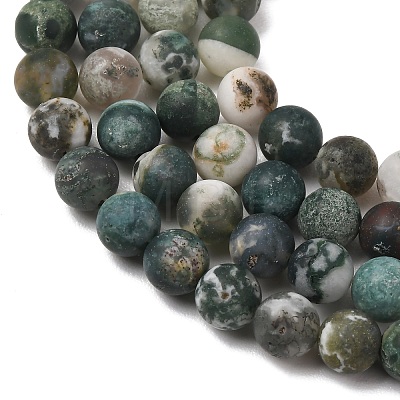 Natural Tree Agate Beads Strands X-G-T106-038-1