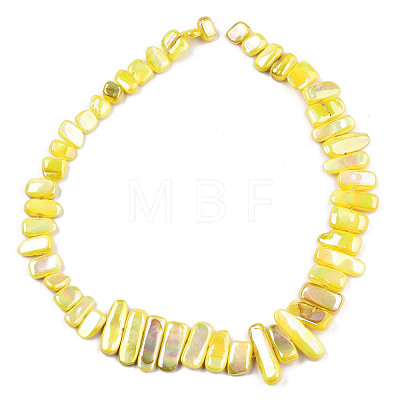 Natural Freshwater Shell Beads Strands SHEL-N026-123A-1