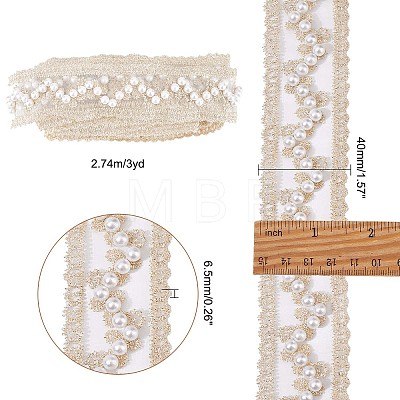 Mesh Embroidered Lace Trim OCOR-WH0073-48-1