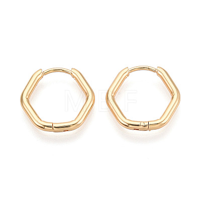 304 Stainless Steel Hoop Earrings STAS-T074-22G-1