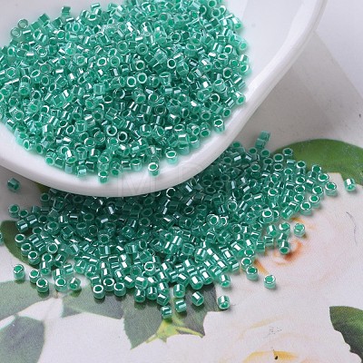 MIYUKI Delica Beads SEED-JP0008-DB0238-1