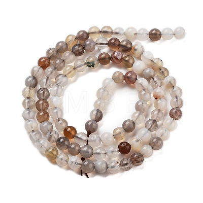 Natural Botswana Agate Beads Strands G-G143-A02-02-1