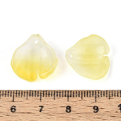 Transparent Glass Pendants GLAA-T030-05-01-1
