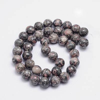 Round Natural Fossil Bead Strands G-L419-49A-1