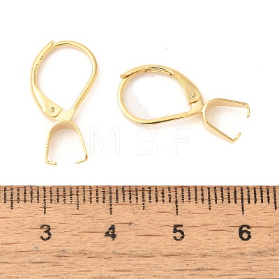 304 Stainless Steel Leverback Earring Findings STAS-U025-01G-01-1