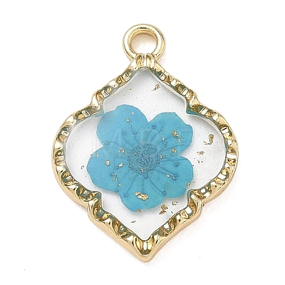 Alloy Epoxy Resin Pendants AL-Z001-08G-02-1