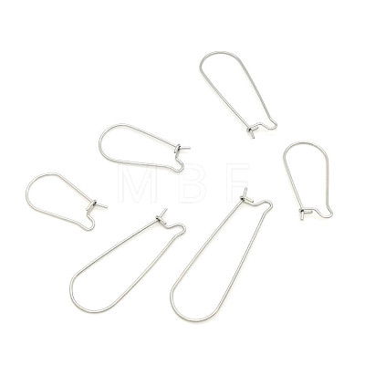 Stainless Steel Hoop Earring Findings STAS-WH0014-34C-P-1