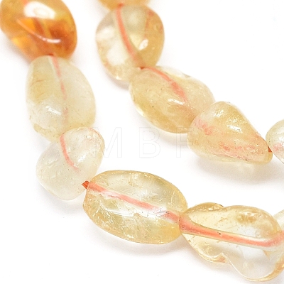 Natural Citrine Beads Strands G-D0004-A02-07-1