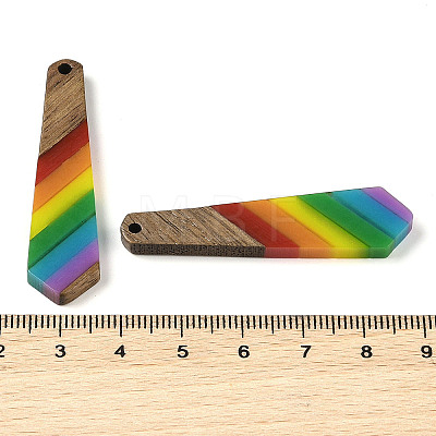 Pride Rainbow Theme Resin & Walnut Wood Pendants WOOD-K012-12C-1